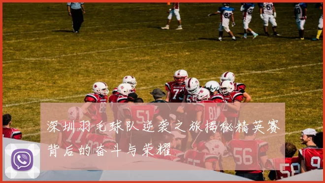 深圳羽毛球队逆袭之旅揭秘精英赛背后的奋斗与荣耀
