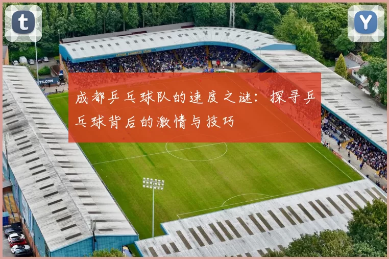 成都乒乓球队的速度之谜：探寻乒乓球背后的激情与技巧