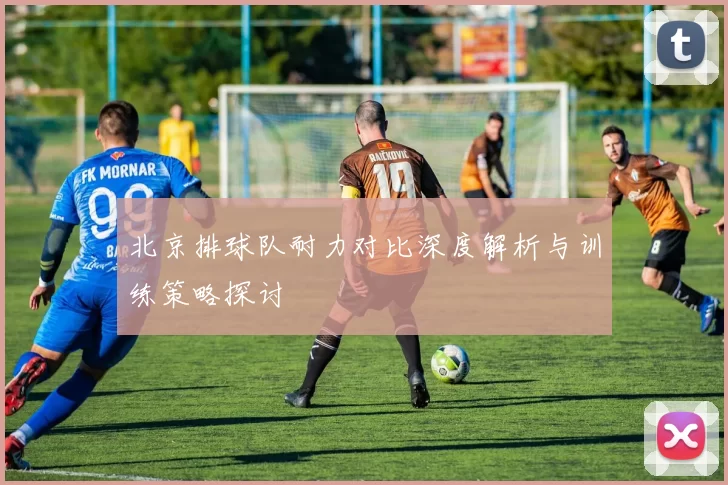 北京排球队耐力对比深度解析与训练策略探讨
