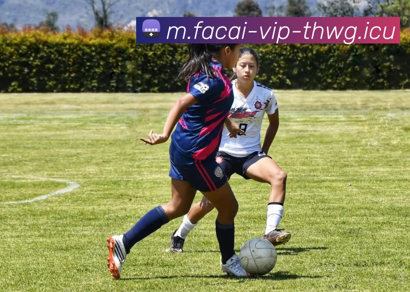 星空体育服务体系